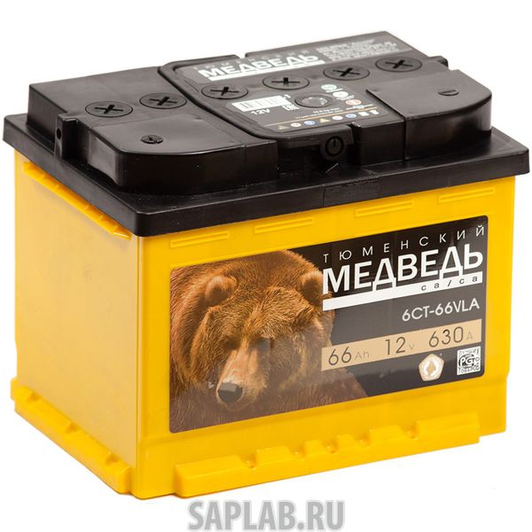 Медведь 66 в богдановиче диски мегами. Магазин медведь в нерюнгри. Магазин медведь 66. Диски богданович. Медведь 66 шины екатеринбург.