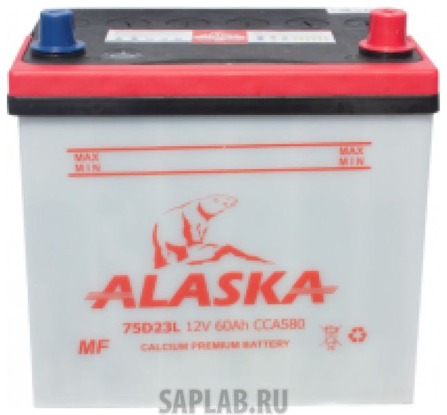 Купить ALASKA 8808240010481 Аккумулятор автомобильный  ALASKA MF 8808240010481 60 Ач