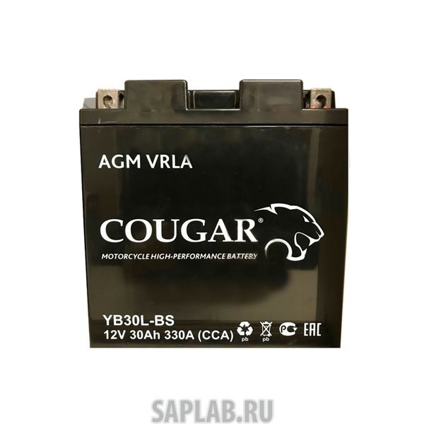 Купить запчасть COUGAR - YB30LBS Аккумулятор мотоциклетный Cougar AGM YB30L-BS 12V 30Ah (залит и готов к применению)