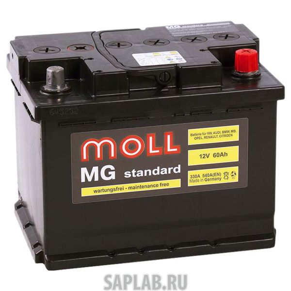 Купить MOLL 60L550A Аккумулятор MOLL MG Standard 60L 550A 242x175x190