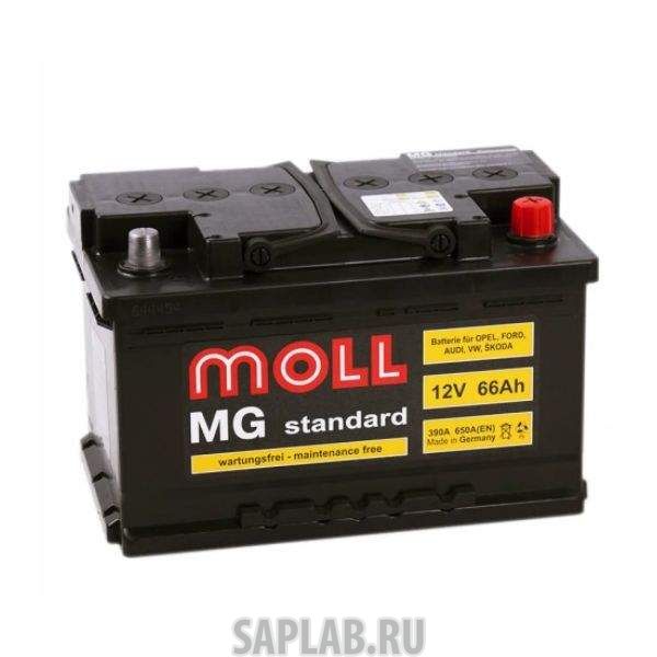 Купить MOLL 66R650A Аккумулятор MOLL MG Standard 66R 650A 278x175x175