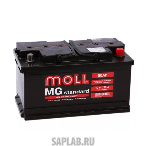 Купить MOLL 80RS750A Аккумулятор MOLL MG Standard 80RS 750A 315x175x175