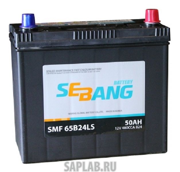 Купить SEBANG SMF65B24LS Аккумулятор SEBANG SMF 50 А/ч обратная R+ EN 480A 238x129x227 SMF 65B24LS SMF 65B24LS