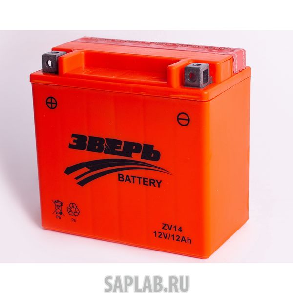 Купить ЗВЕРЬ ZV14 Аккумулятор ЗВЕРЬ AGM 12 А/ч обратная R+ EN180 А 150x87x146 ZV14