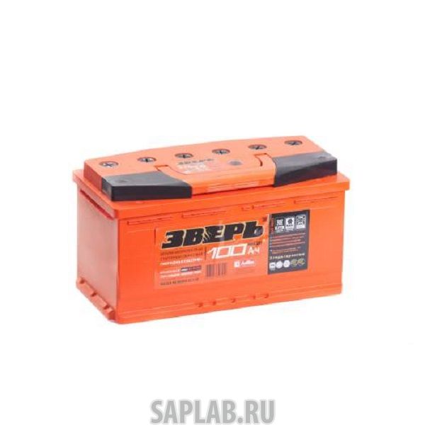 Купить ЗВЕРЬ ЗВ100ЗL Аккумулятор ЗВЕРЬ 100 А/ч прямая L+ EN 900A 352x175x190 6СТ-100 LЗУ 6СТ-100.1