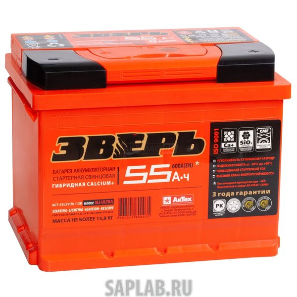 Купить ЗВЕРЬ ЗВ55ЗR Аккумулятор ЗВЕРЬ 55 А/ч обратная R+ EN 600A 242x175x190 6СТ-55 LЗУ (R) 6СТ-55.0